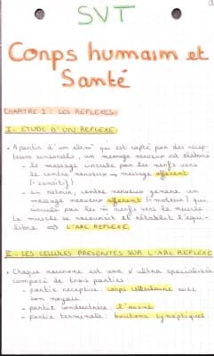 Know Corps humain et santé : Les réflexes  thumbnail