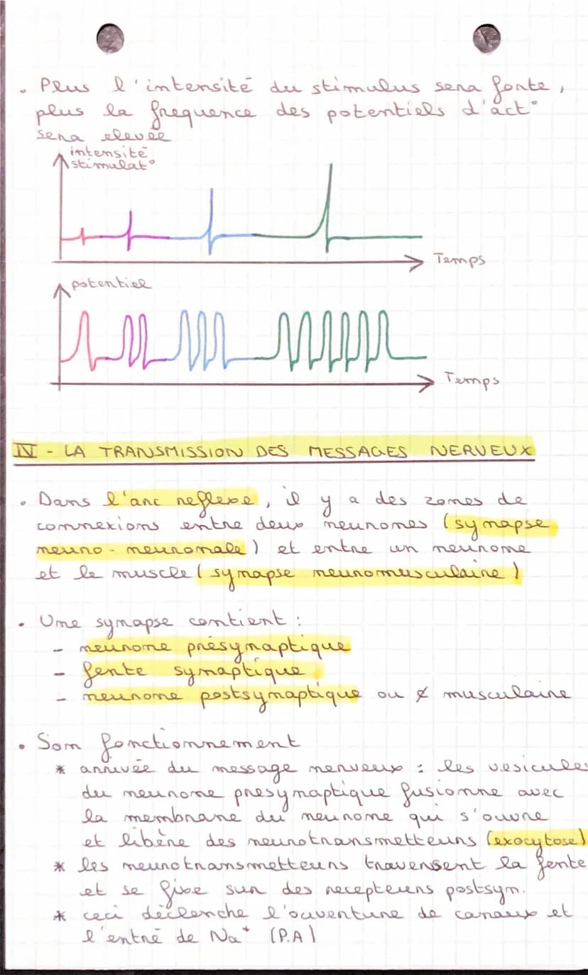 SVT
Conps humaim et
Santé
CHAPITRE 1: LES REFLEXES
I- ETUDE D'UN REFLEXE
dos
A pantin d'un elem" qui est capté pan
teuns sensoriels,
песер
m