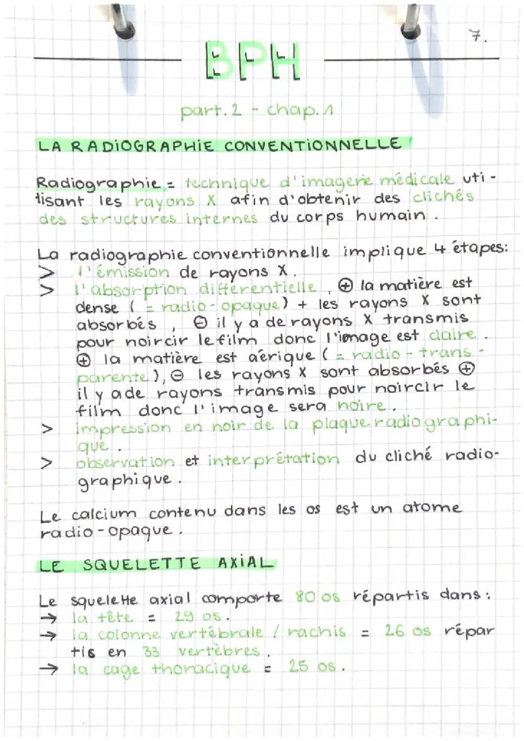 Les Rayons X et les Secrets du Squelette pour les Curieux!
