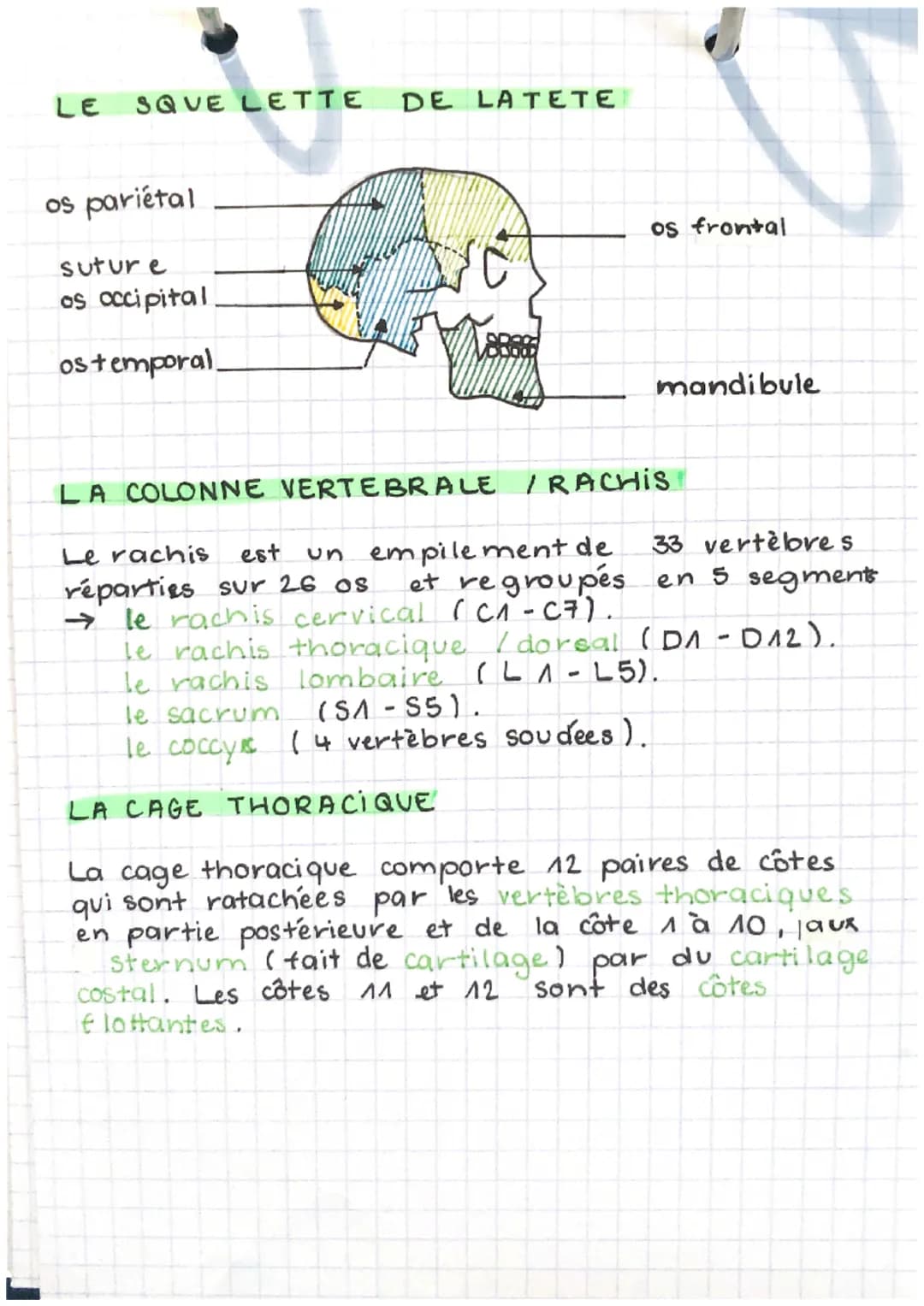 EPH
part. 2 - chap.1.
LA RADIOGRAPHIE CONVENTIONNELLE
Radiographie = technique d'imagerie médicale uti-
lisant les rayons X afin d'obtenir d