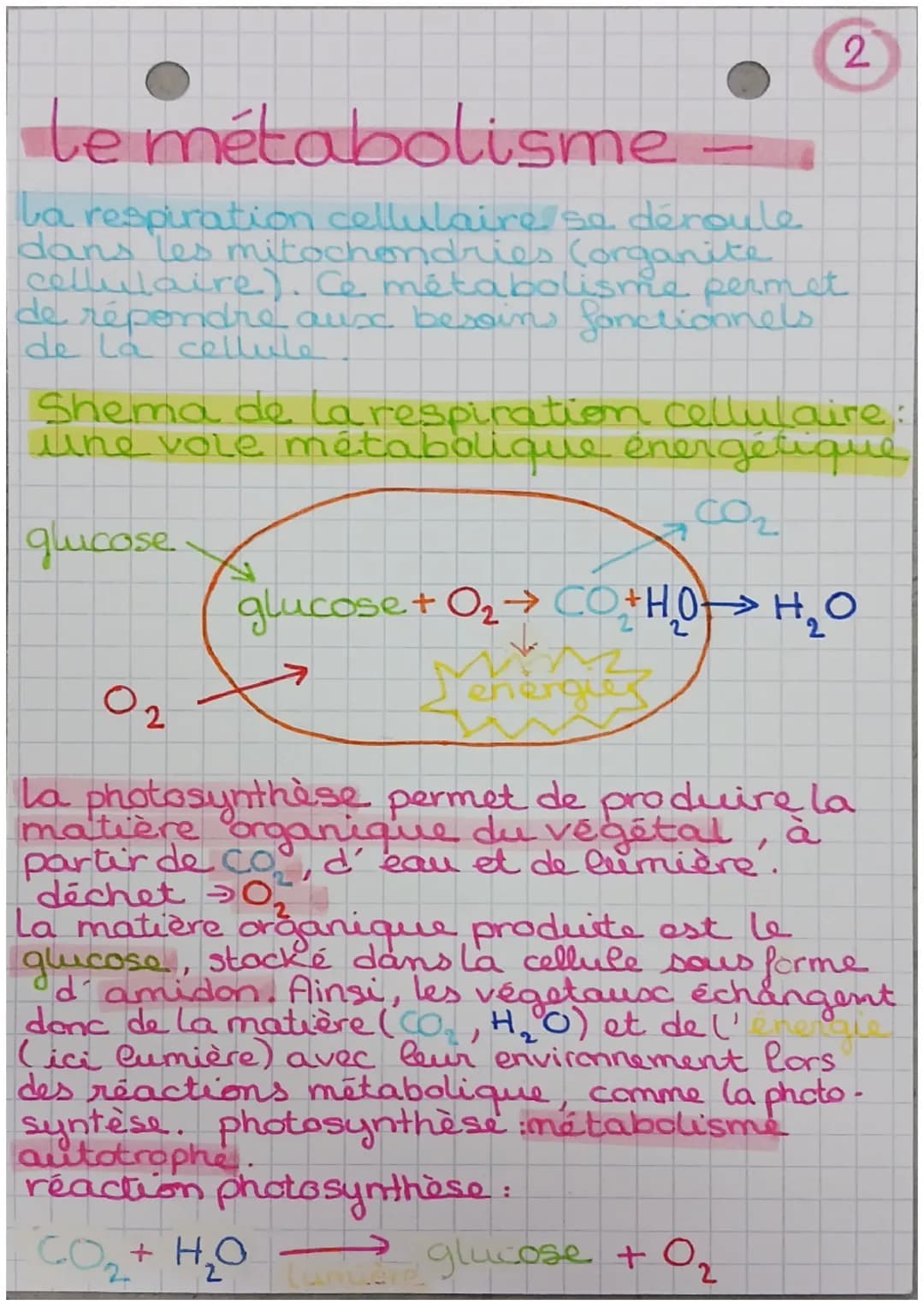 le métabolisme -
métabolisme → ensemble des.
réactions chimiques nécessaires
à la vie qui se déroulent dans
les cellules de l'organisme
il e