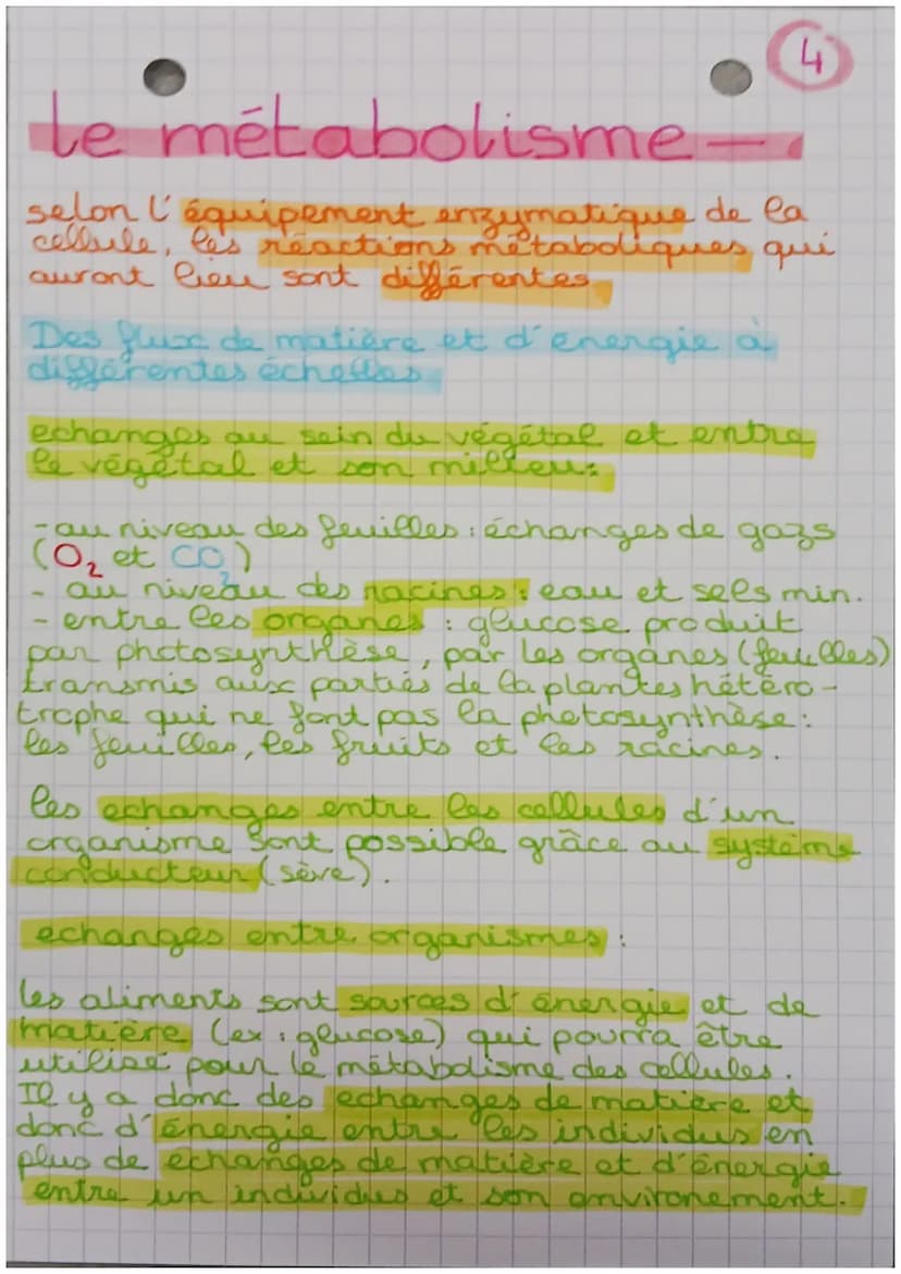 le métabolisme -
métabolisme → ensemble des.
réactions chimiques nécessaires
à la vie qui se déroulent dans
les cellules de l'organisme
il e