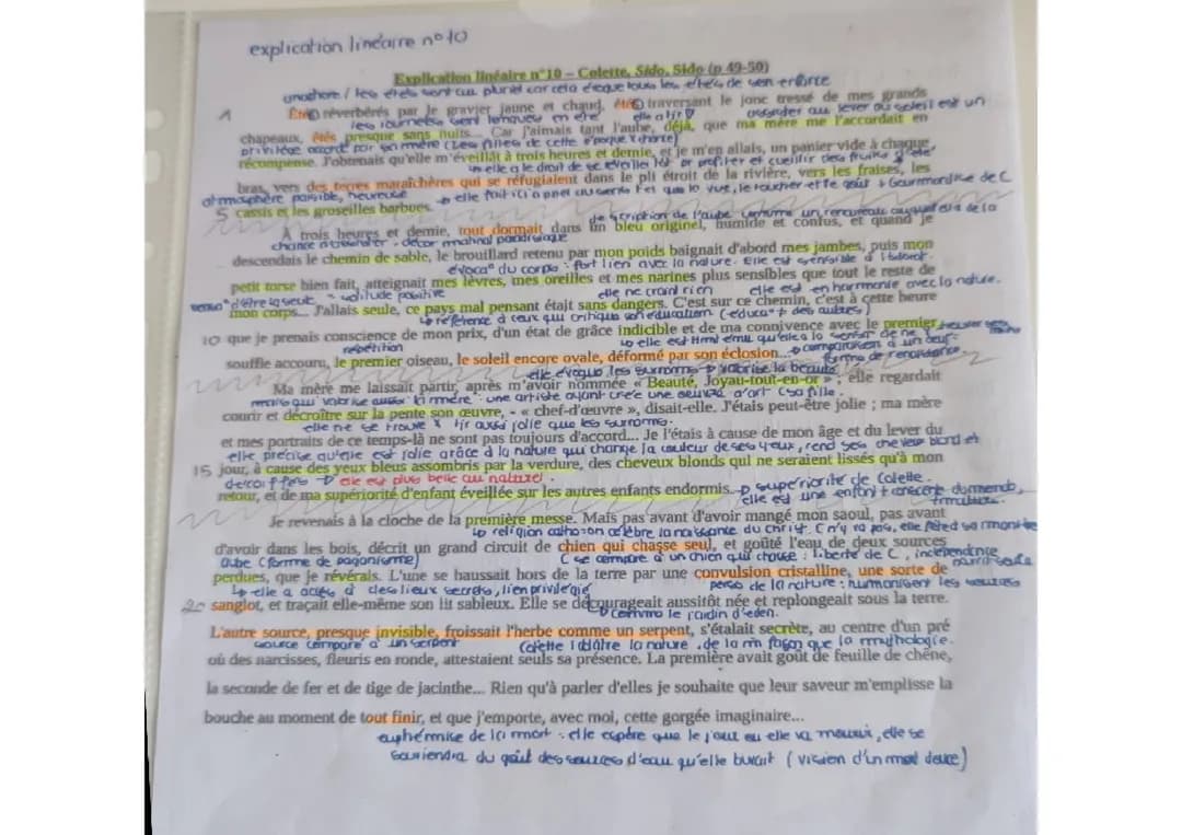 Explication linéaire : Collette, Sido
