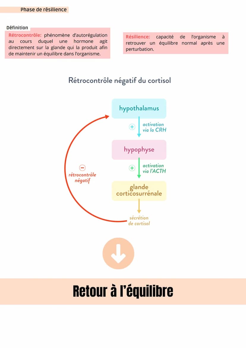 Stimuli
= agent stresseur
Définition
Stress aigu: désigne les réponses adaptatives
de l'organisme face aux agents stresseurs
c'est-à-dire de