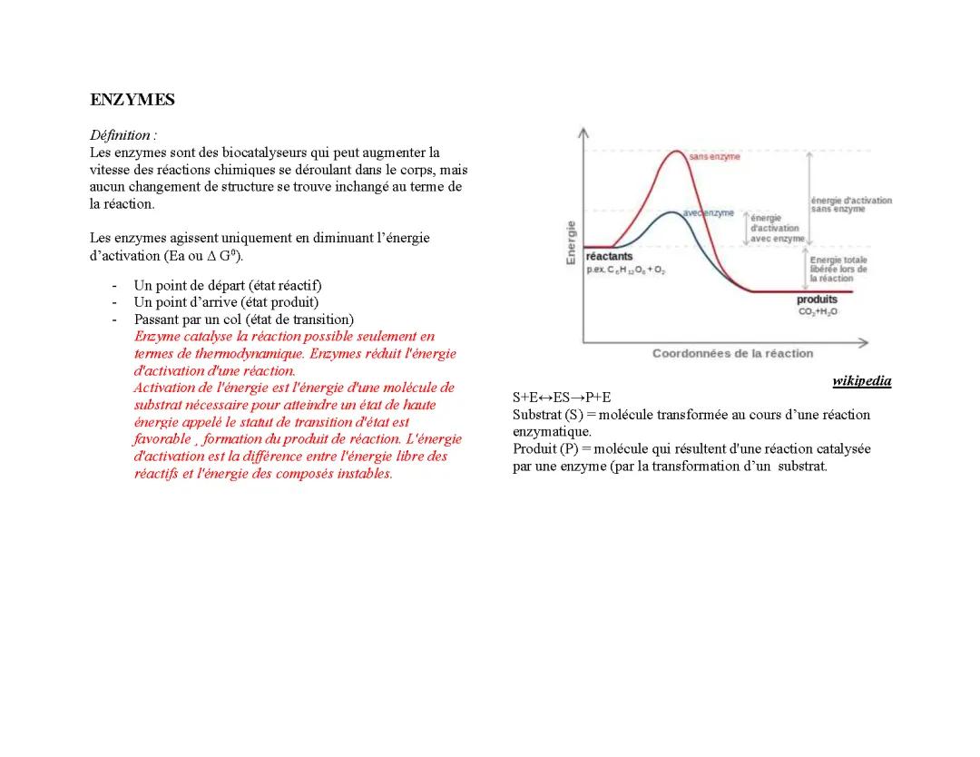 Enzymes
