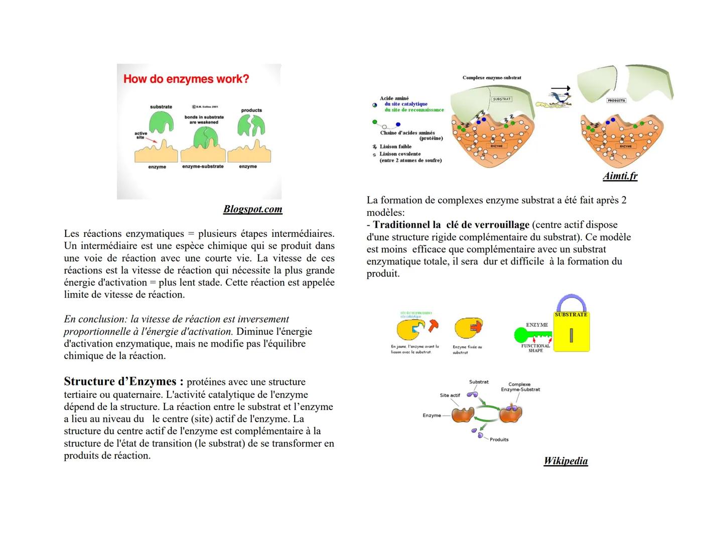 ENZYMES
Définition :
Les enzymes sont des biocatalyseurs qui peut augmenter la
vitesse des réactions chimiques se déroulant dans le corps, m