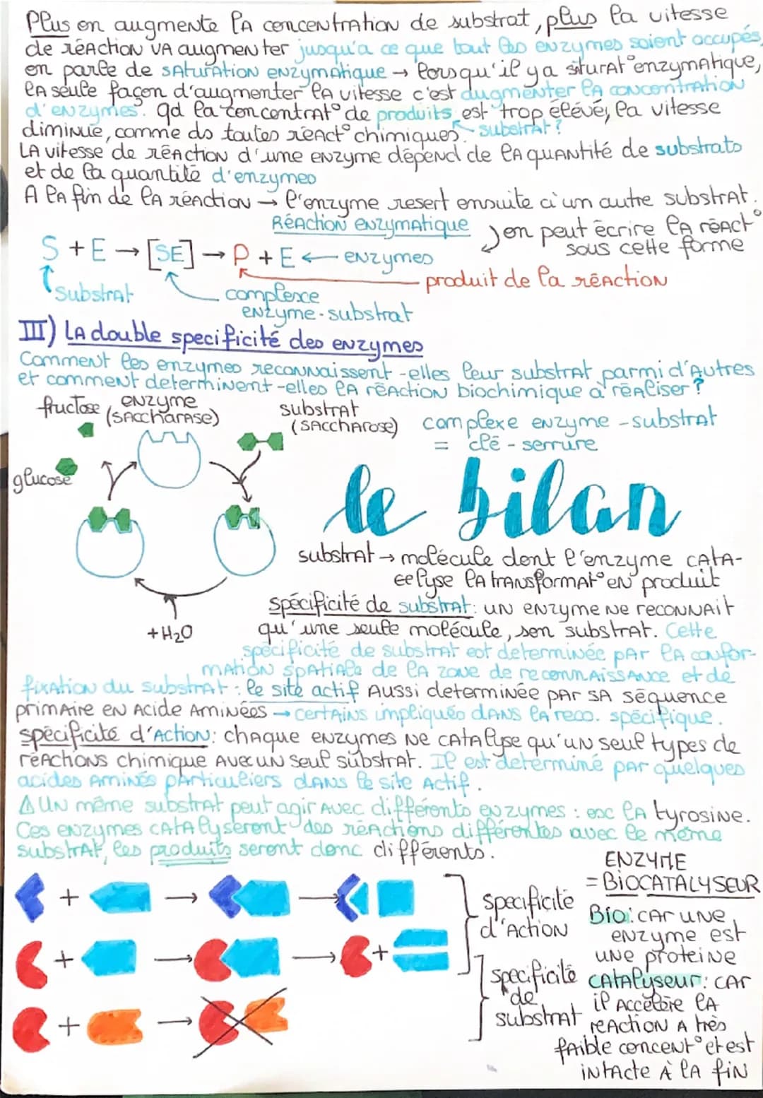 Chapitre
1
les enzymes
En quoi les enzymes issues
ノ
des biomolecules
aux propriétés
Catalytiques
de l'expression génétique sont elles
indisp