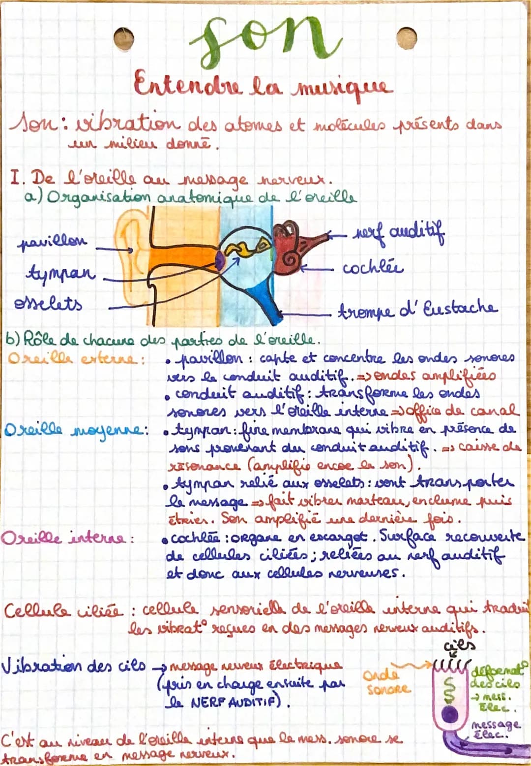 Entendre la musique
son: vibration des atomes et molécules présents dans
un milieu donne.
I. De l'oreille an message nerveux.
a) Organisatio
