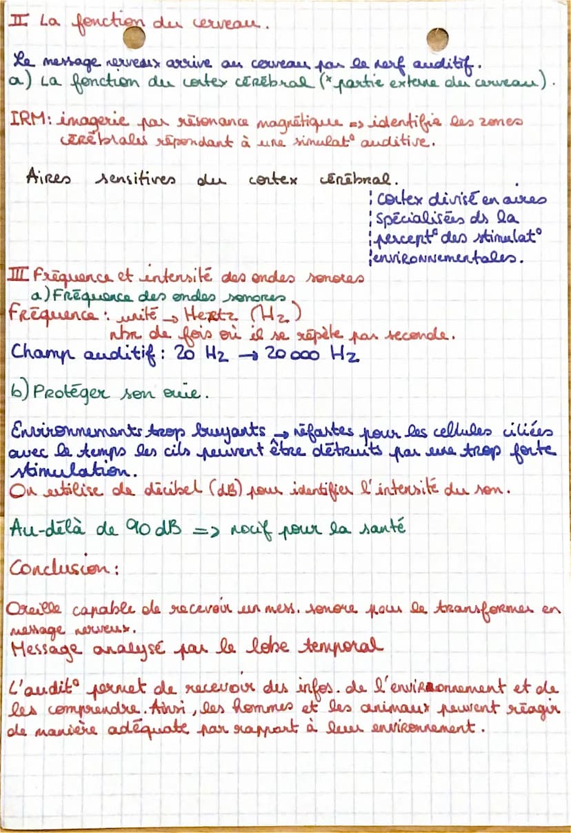 Entendre la musique
son: vibration des atomes et molécules présents dans
un milieu donne.
I. De l'oreille an message nerveux.
a) Organisatio