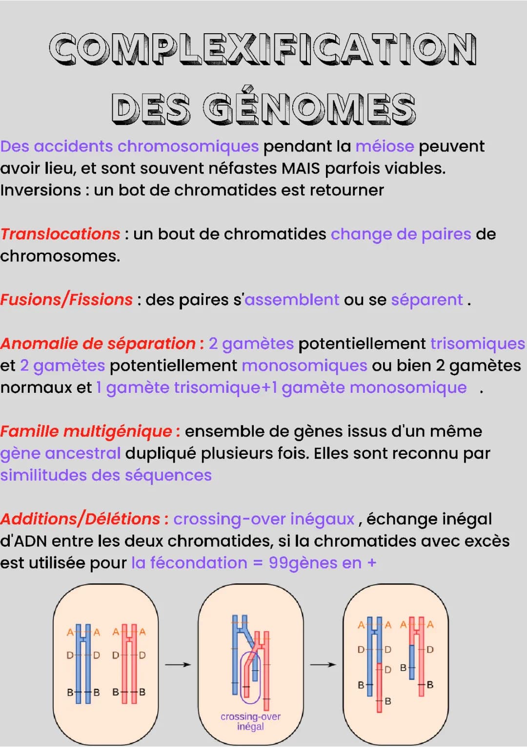 La Complexification des Génomes : Transferts Horizontaux et Endosymbioses PDF