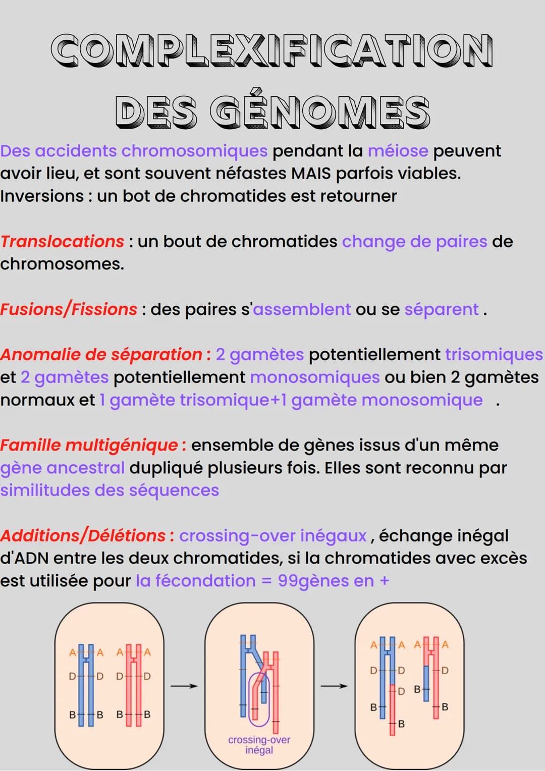 COMPLEXIFICATION
DES GÉNOMES
Des accidents chromosomiques pendant la méiose peuvent
avoir lieu, et sont souvent néfastes MAIS parfois viable