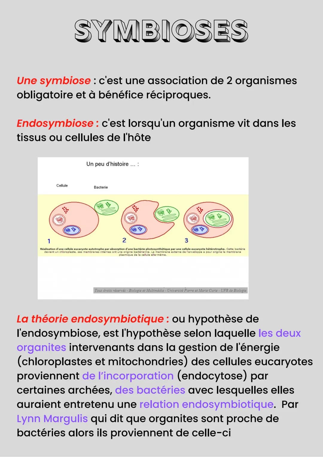 COMPLEXIFICATION
DES GÉNOMES
Des accidents chromosomiques pendant la méiose peuvent
avoir lieu, et sont souvent néfastes MAIS parfois viable