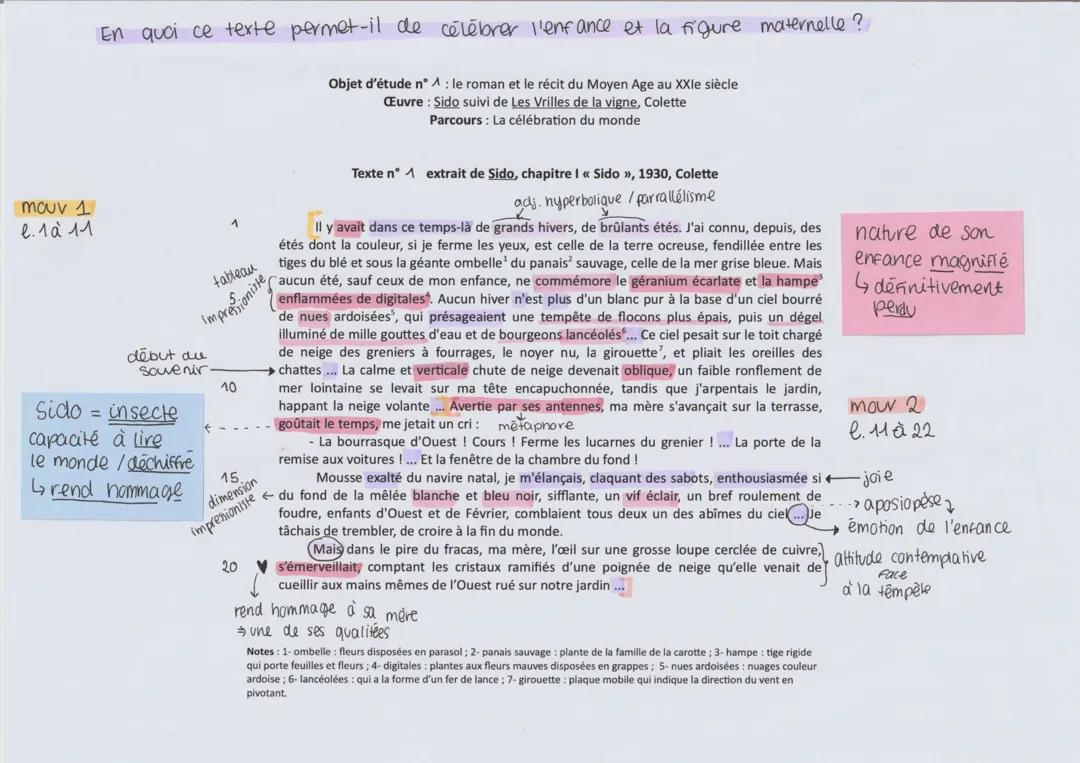 Lecture Linéaire Chapitre 1 "Sido", extrait de Sido et Les Vrilles de la vigne 