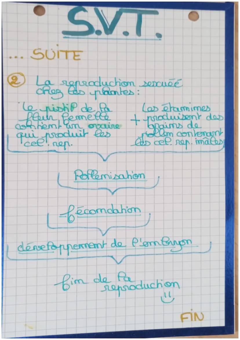 S.V.T
REPRODUCTION DES ETRES-VIVANTS
ET MILIEU DE VIE
①La remoduction sexuée chez
les animaux. (ex: faisan)
Rules reproductices + cetheles
f