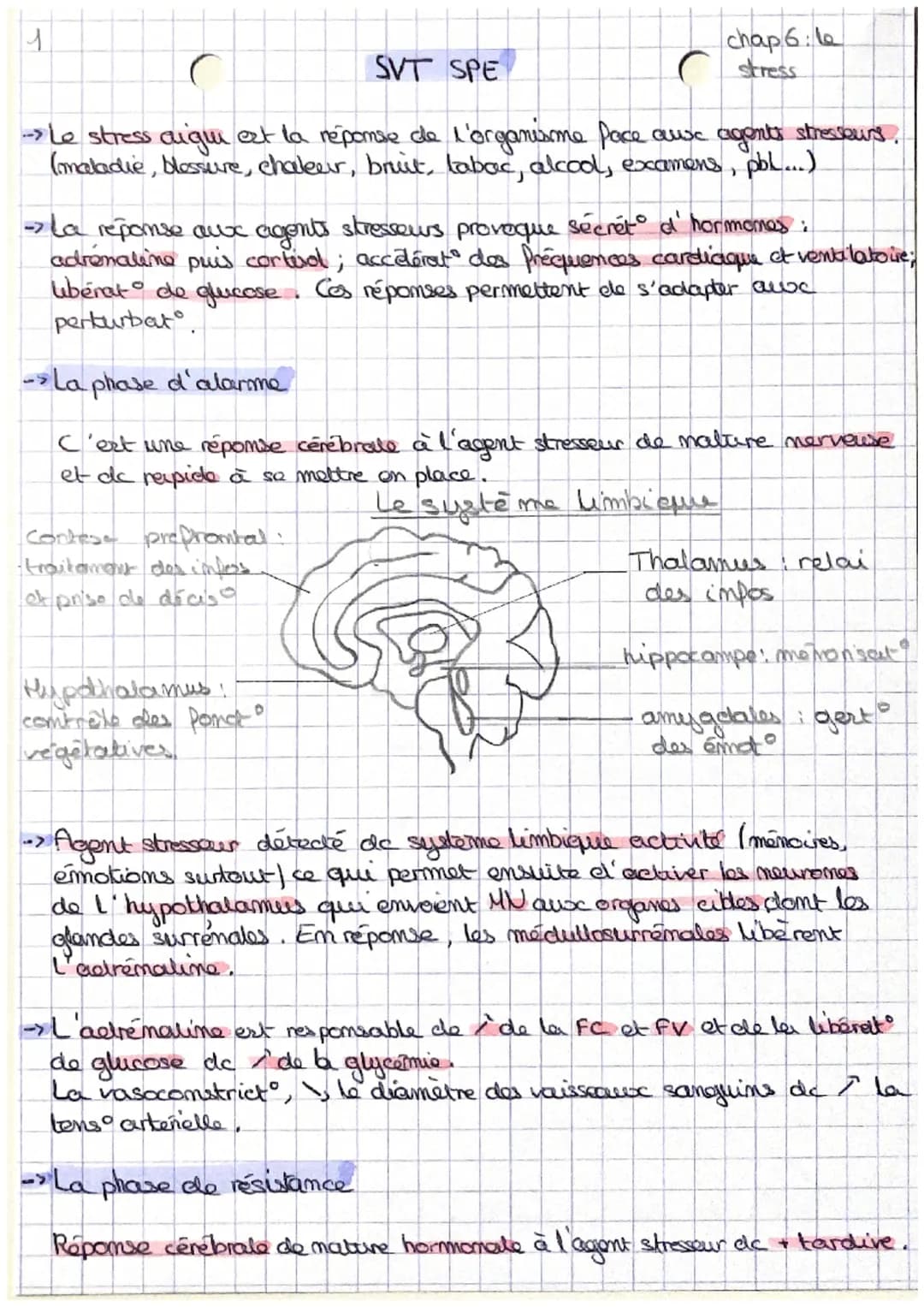 1
SVT SPE
-> Le stress aigui est la réponse de l'organisme face aux agents stresseurs.
(maladie, blessure, chaleur, bruit, tabac, alcool, ex