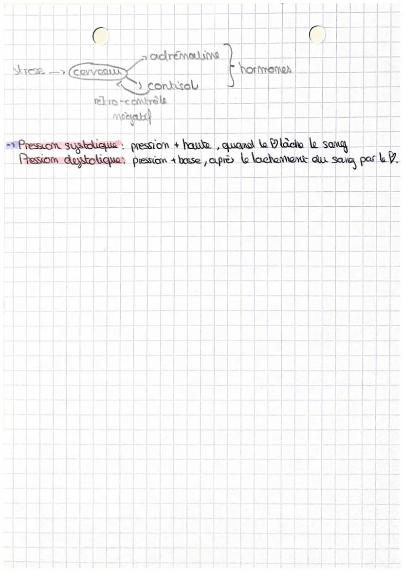 1
SVT SPE
-> Le stress aigui est la réponse de l'organisme face aux agents stresseurs.
(maladie, blessure, chaleur, bruit, tabac, alcool, ex