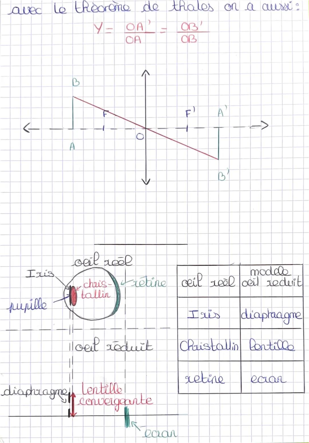 f'angle d'incidence est égal à l'angle
reflechi
1=1²
rayon
incident
Million I
Millieu 2
Physique Chimie
Vision et Images
1
Normale
1
||
rayo