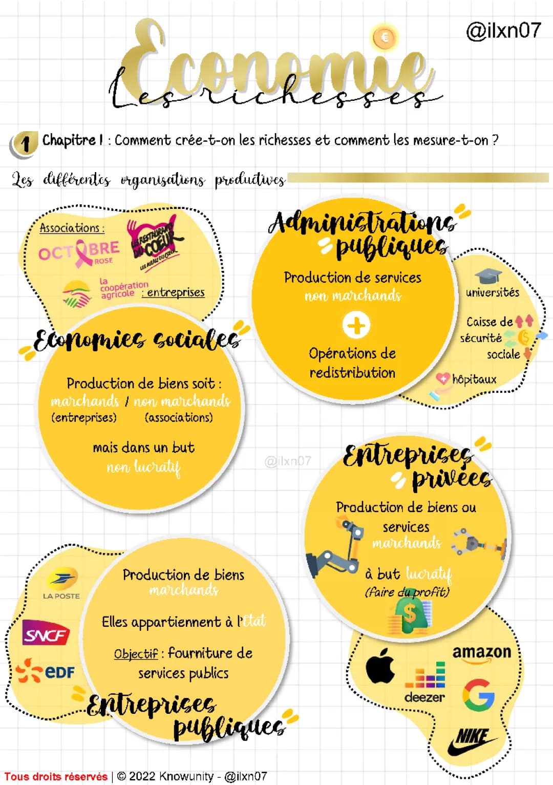 SES les différentes organisations productives