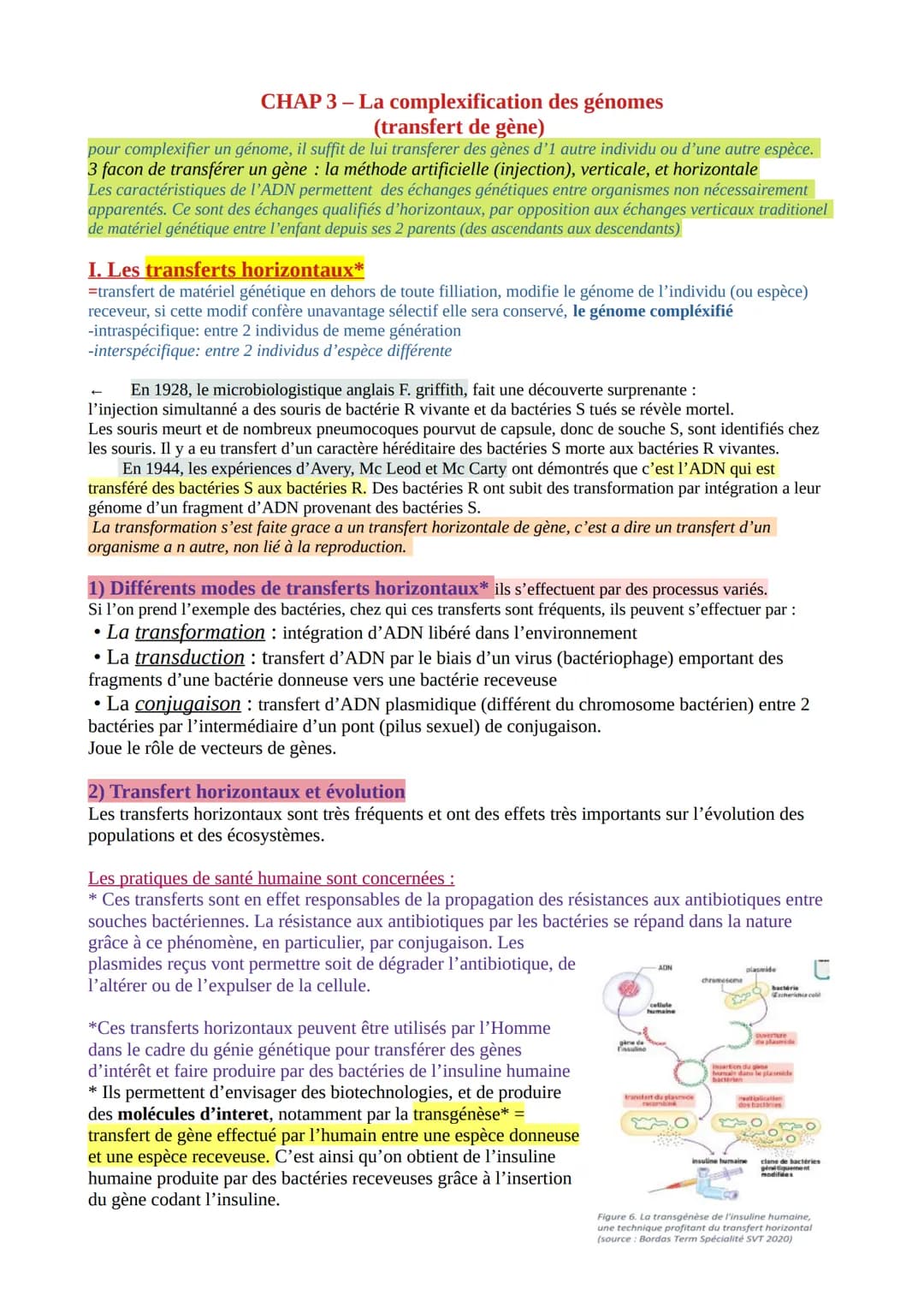CHAP 3 - La
complexification des génomes
(transfert de gène)
pour complexifier un génome, il suffit de lui transferer des gènes d'1 autre in
