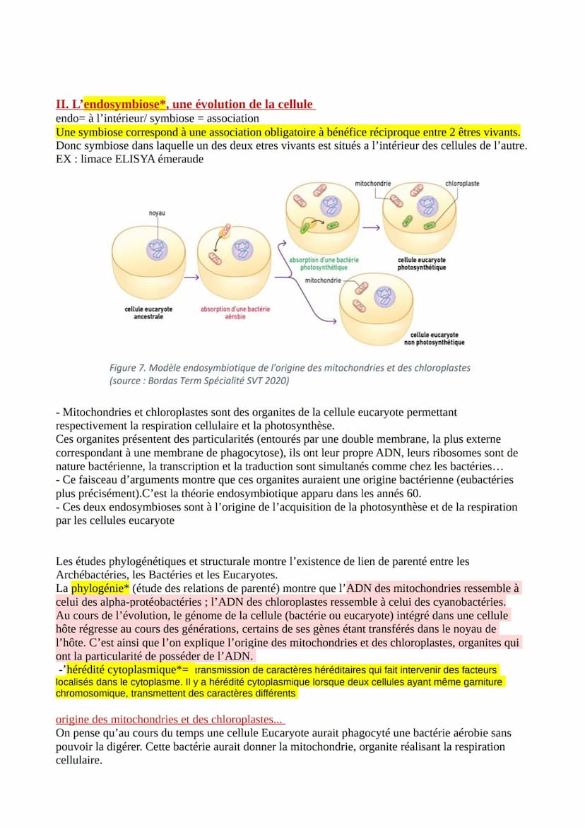 CHAP 3 - La
complexification des génomes
(transfert de gène)
pour complexifier un génome, il suffit de lui transferer des gènes d'1 autre in
