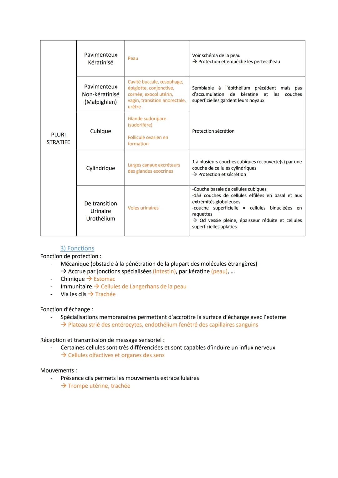 TISSUS EPITHELIAUX
1) Définitions
Épithélium = tissu formé de cellules étroitement associées, sans interposition intracellulaire et avec
une