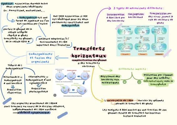 Know Complexification des génomes : transferts horizontaux et endosymbiose  thumbnail