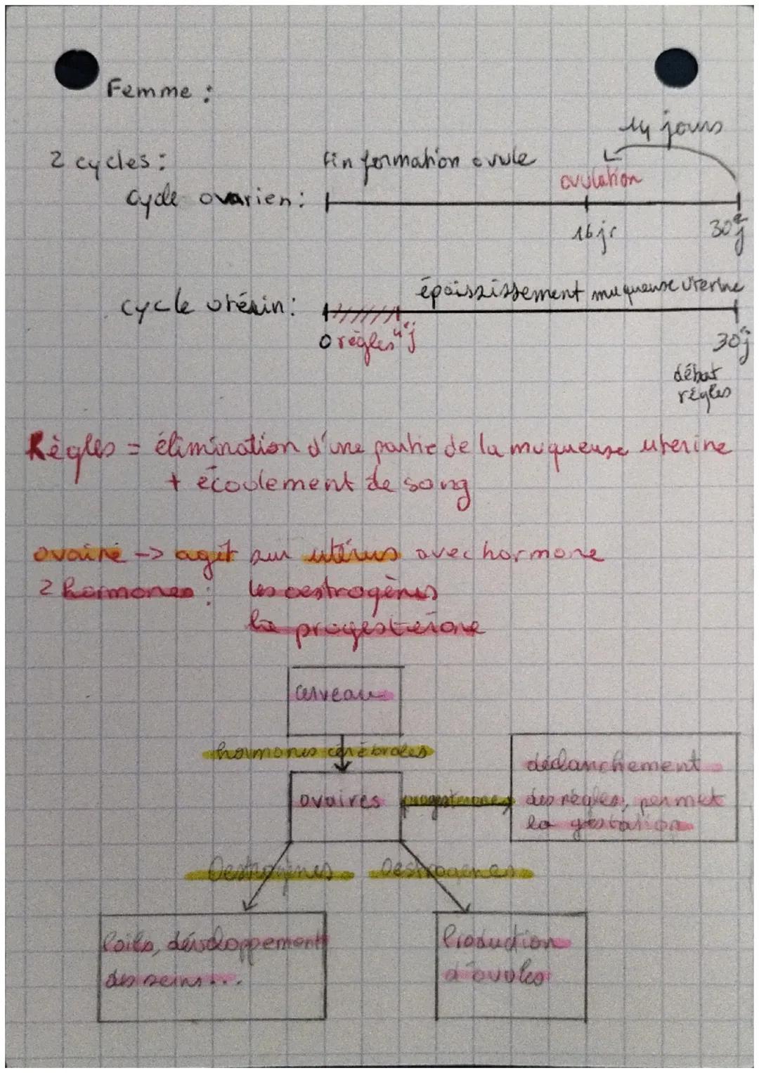 SUT
# lus hormones

hormone = substance chimique fabriquée pou
un organe qui va circuler dans le
sang & ager sur un organe-cible.

cerveau


