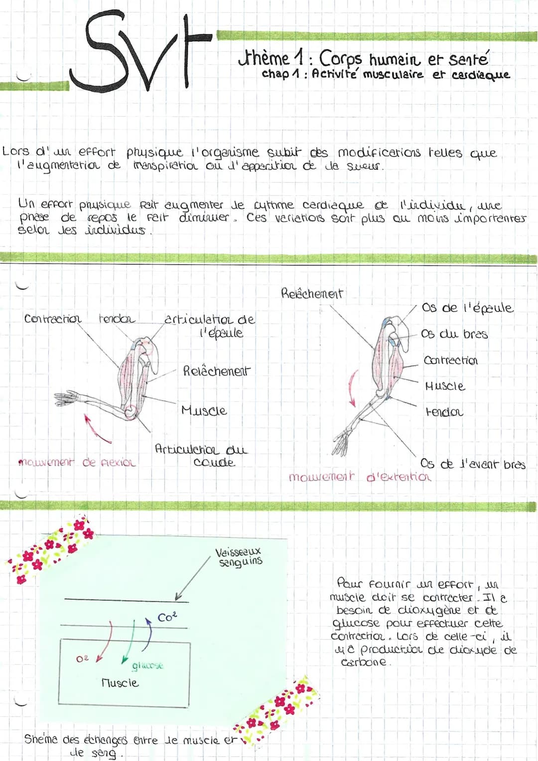 Svr
Lors d'un effort physique l'organisme subit des modifications telles que
l'augmentation de transpiration ou I'apparition de la sueur.
Un