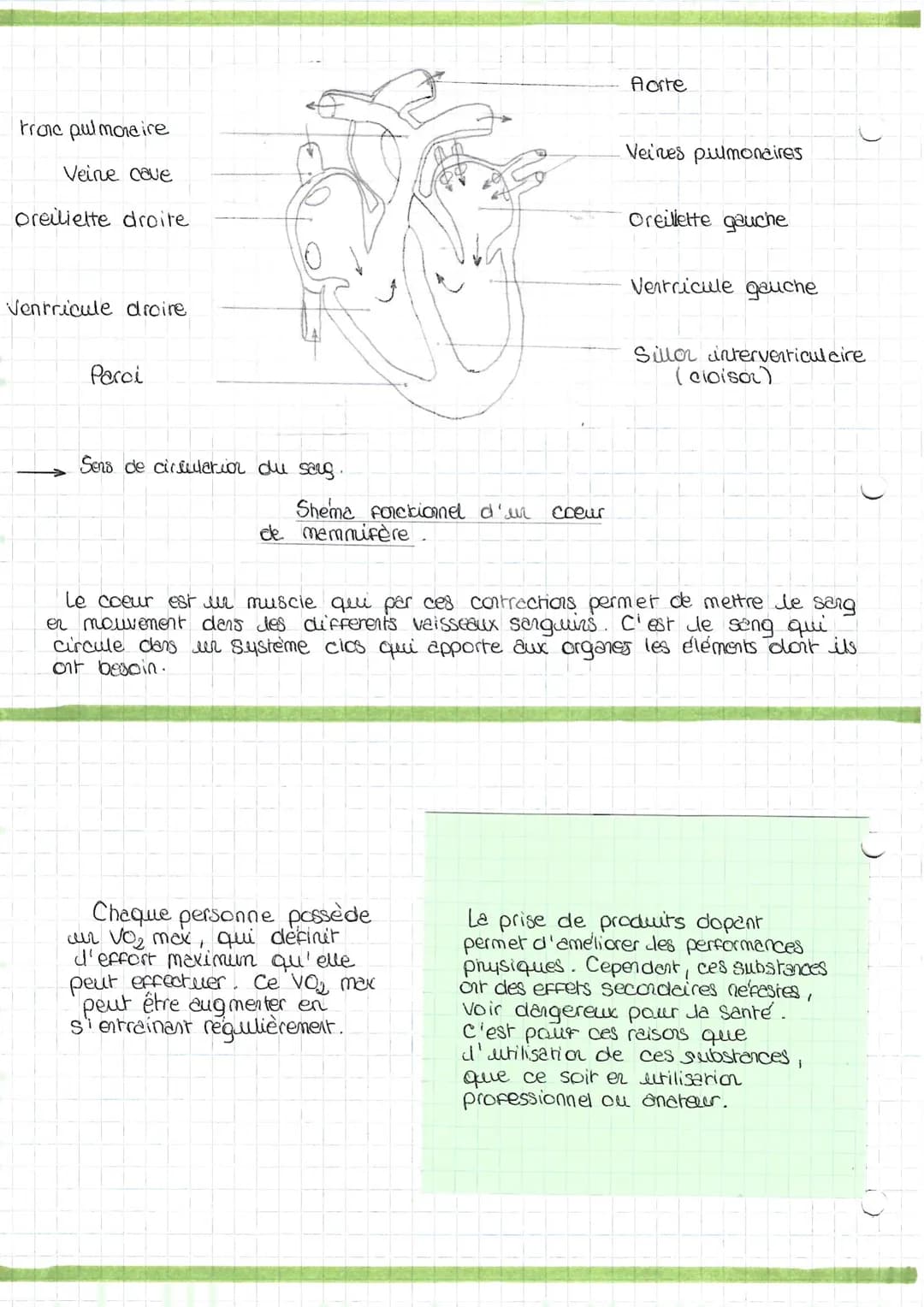 Svr
Lors d'un effort physique l'organisme subit des modifications telles que
l'augmentation de transpiration ou I'apparition de la sueur.
Un