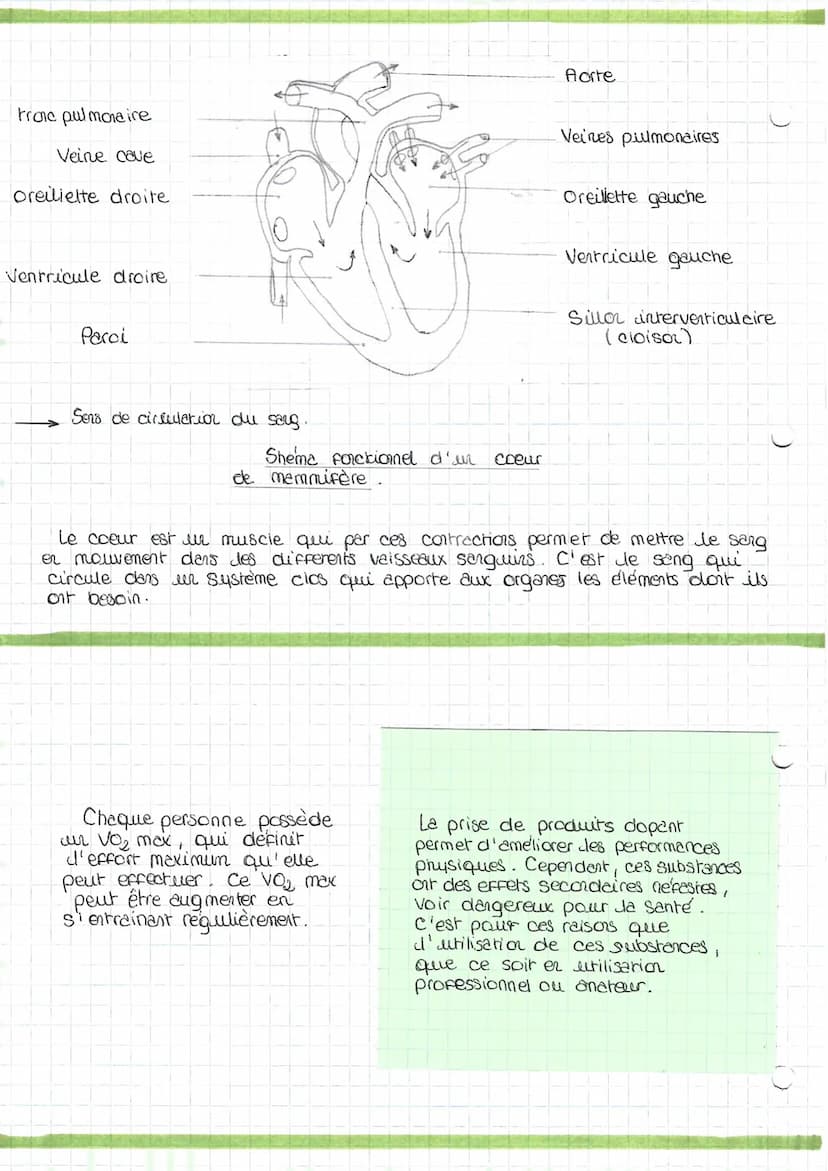 Svr
Lors d'un effort physique l'organisme subit des modifications telles que
l'augmentation de transpiration ou I'apparition de la sueur.
Un