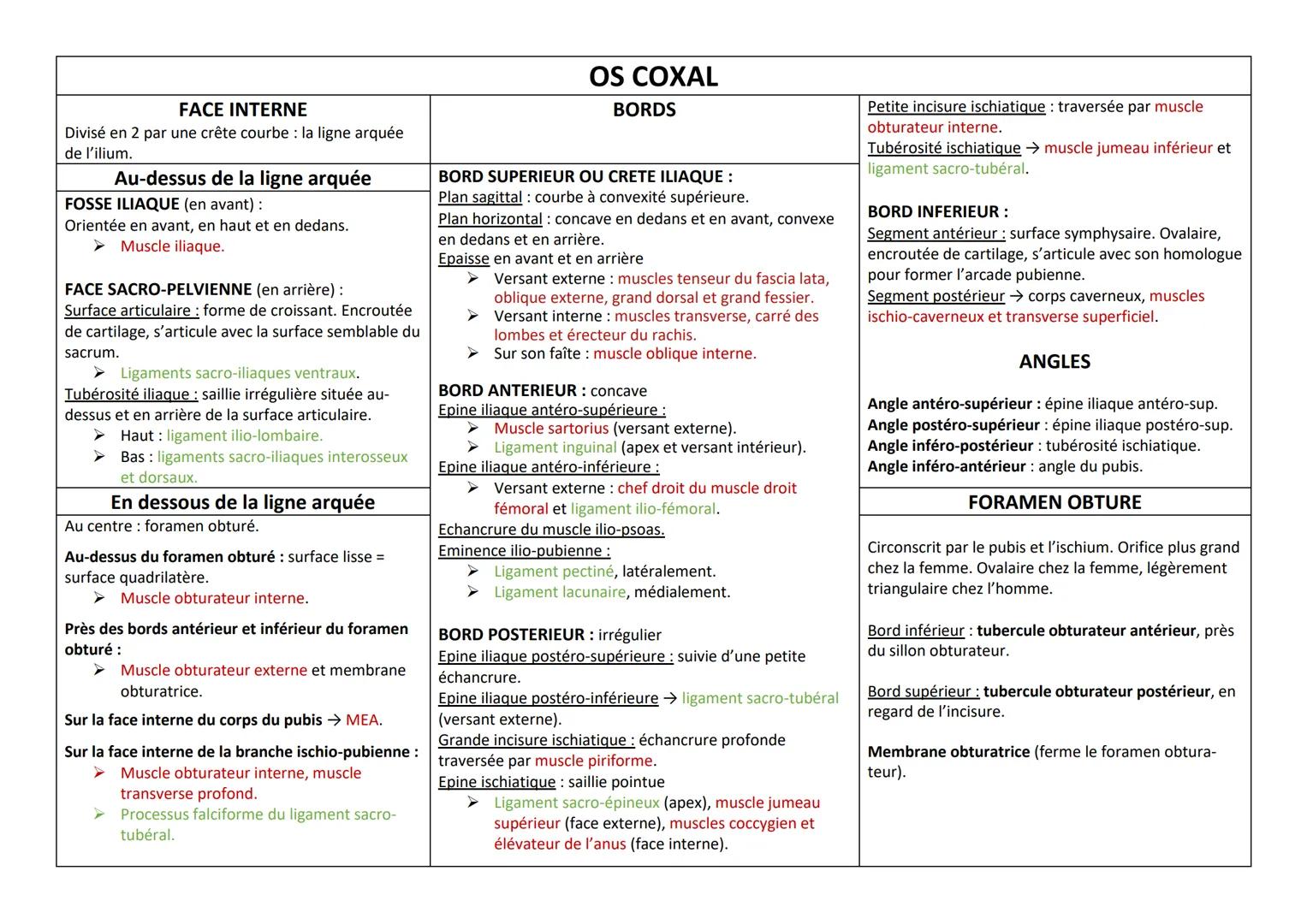 Os plat de la hanche, constitue les parois antéro-latérales du bassin osseux.
Avant ossification complète, 3 parties : ilium (partie supérie