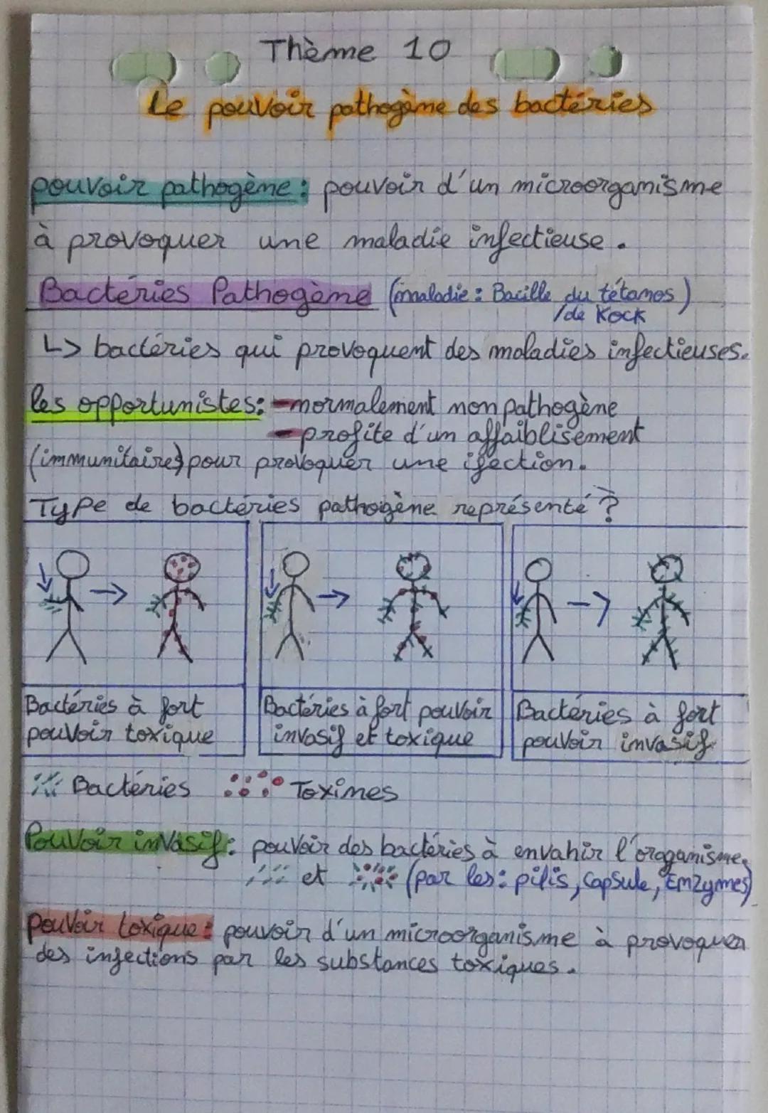 Thème 10 J
Le pouvoir pathogène des bactéries
pouvoir pathogène pouvoir d'un microorganisme
à provoquer une maladie infectieuse.
Bactéries P