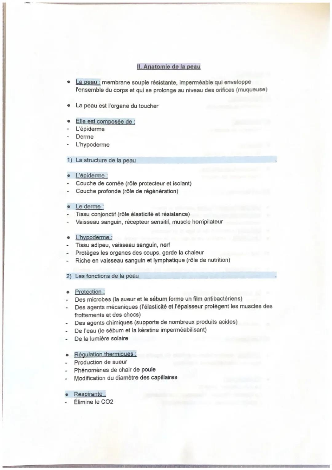 Anatomie de la peau 
