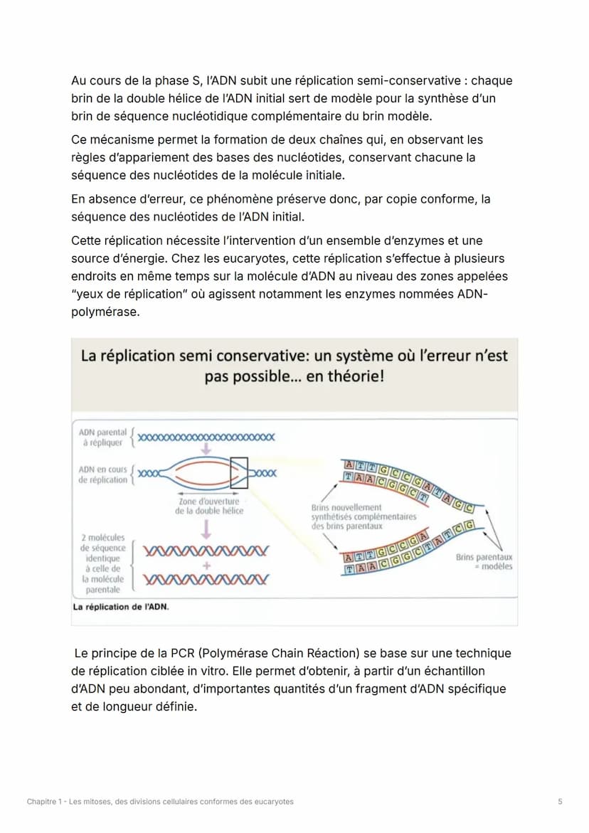 Chapitre 1 - Les mitoses, des
divisions cellulaires conformes
des eucaryotes
À savoir
•
Comprendre au niveau moléculaire la réplication semi