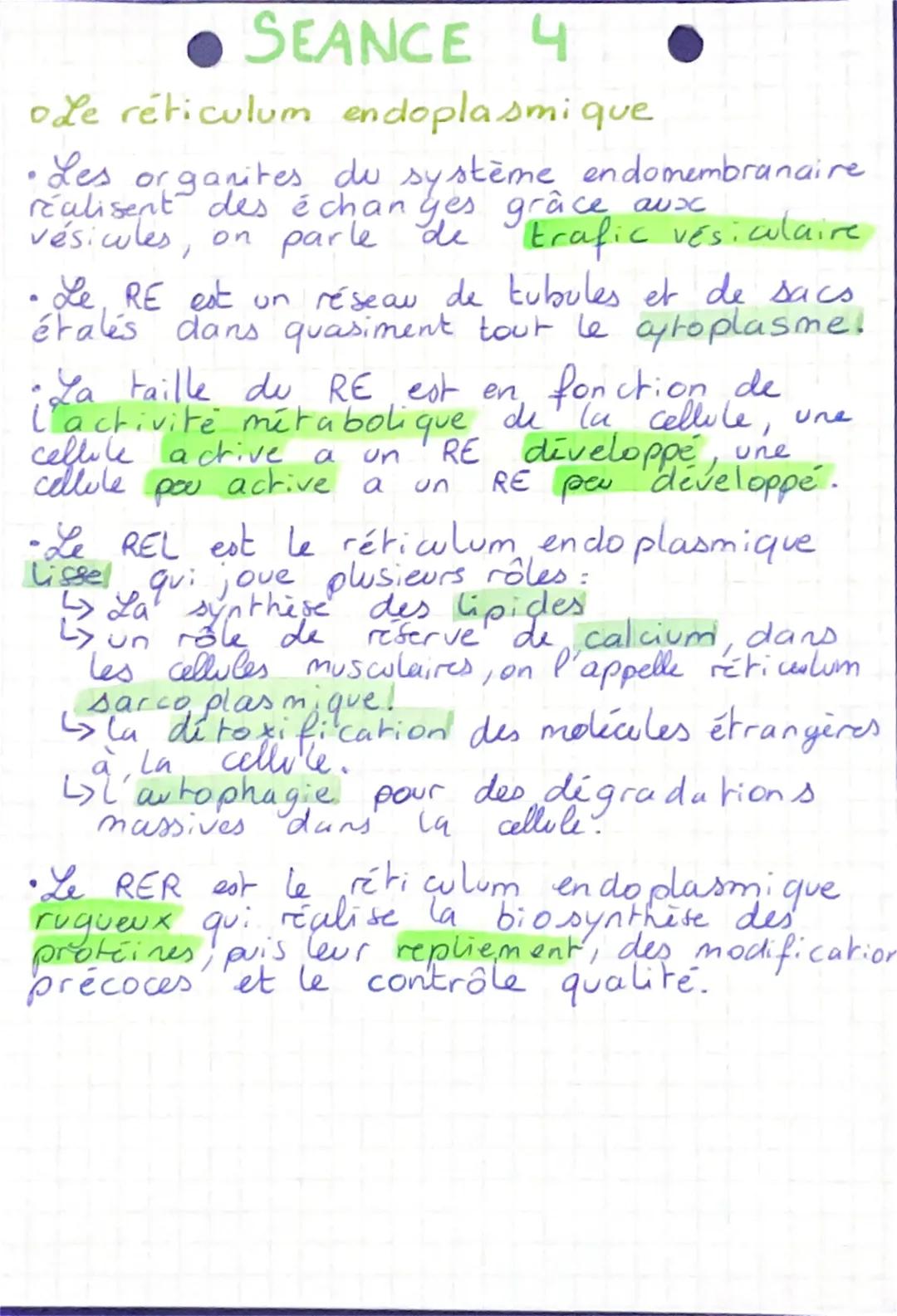 SEANCE 4
ode réticulum endoplasmique
•Les organites du système endomembranaire
réalisent des échanges grâce aux
vésicules, on parle de trafi