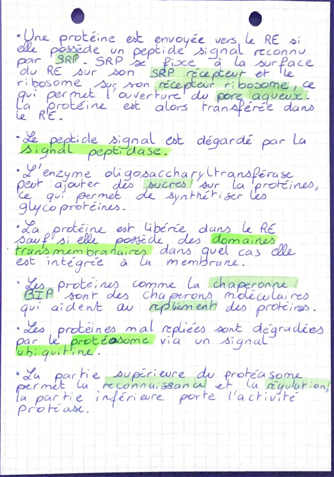 SEANCE 4
ode réticulum endoplasmique
•Les organites du système endomembranaire
réalisent des échanges grâce aux
vésicules, on parle de trafi