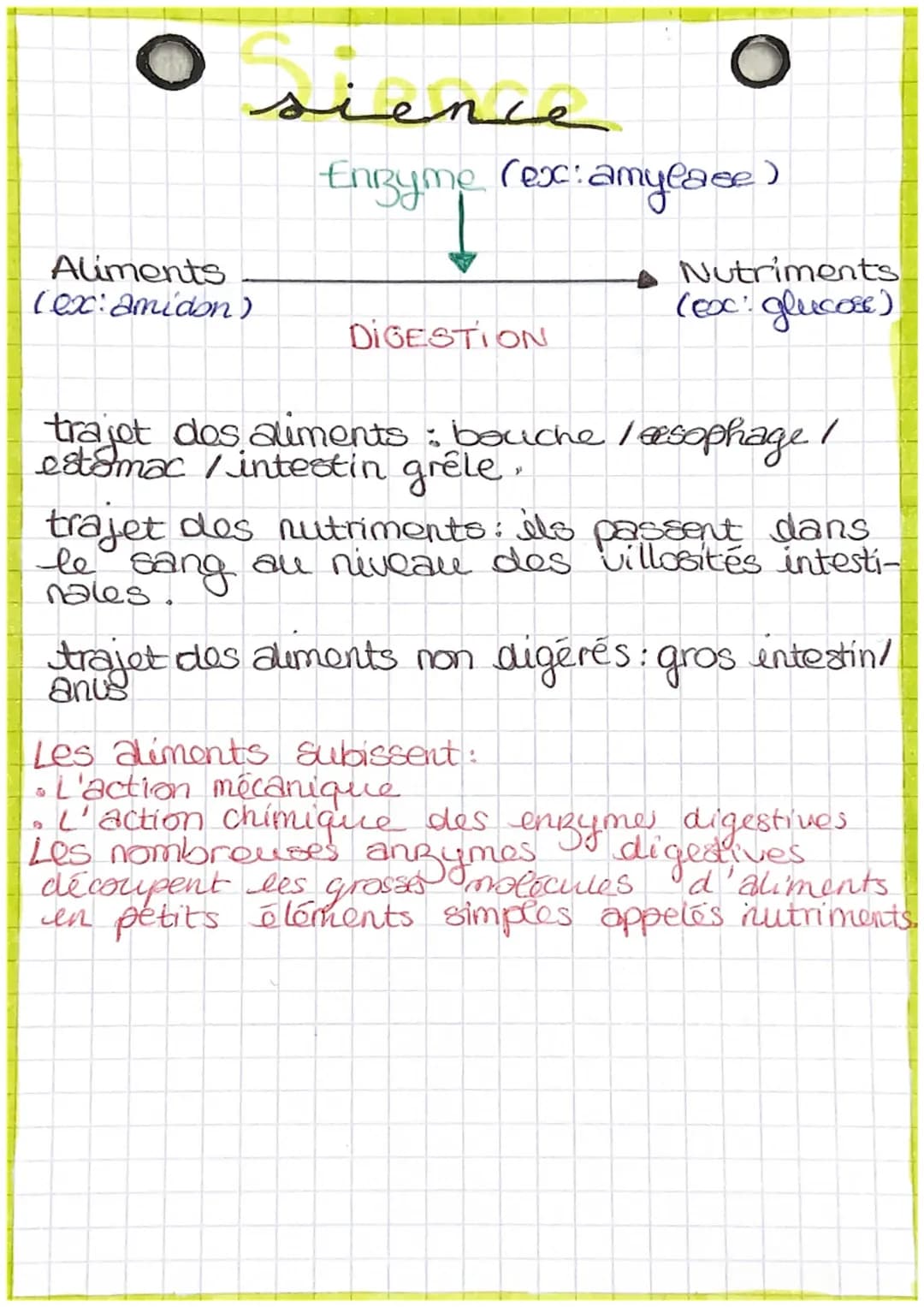● Frience
Aliments
(ex: amidon)
O
Enzyme (ex: amylase)
DIGESTION
Nutriments
(exc: glucose)
trajet des aliments: bouche /eesophage /
estomac 