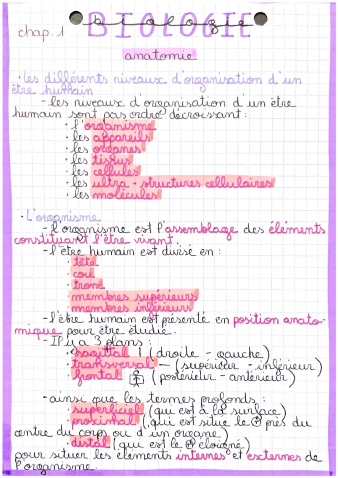 BIOLOGIE
anatomie
chap. 1
·les différents niveaux d'organisation d'un
être humain
·les niveaux d'organisation d'un être
humain sont pas ordr