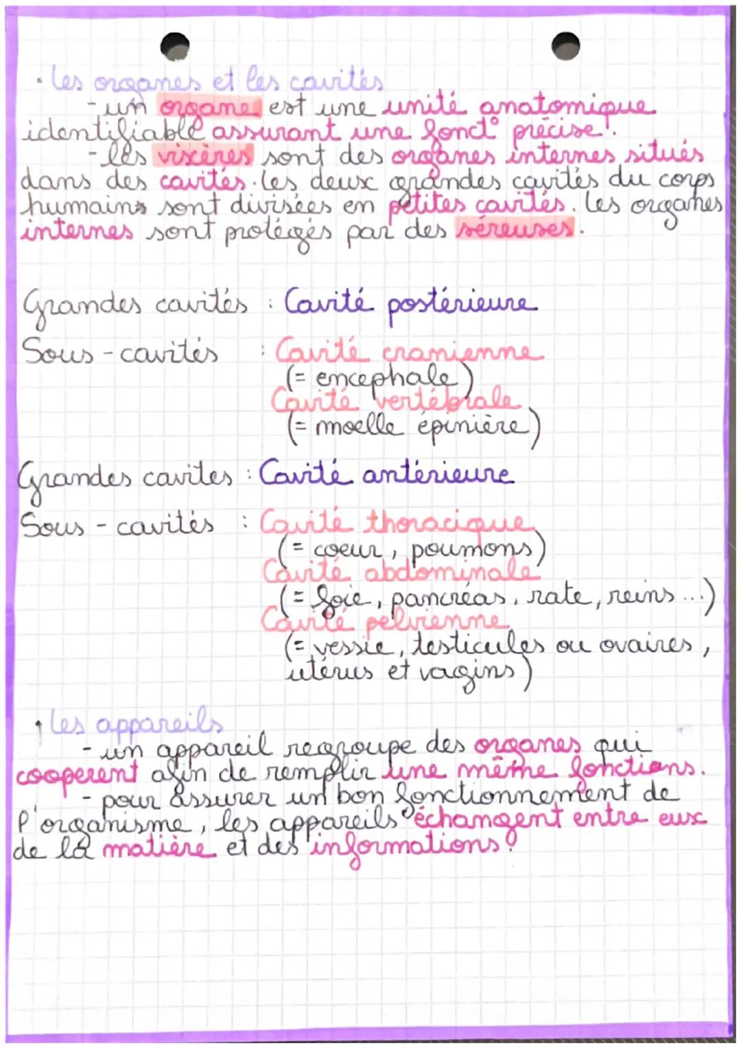 BIOLOGIE
anatomie
chap. 1
·les différents niveaux d'organisation d'un
être humain
·les niveaux d'organisation d'un être
humain sont pas ordr