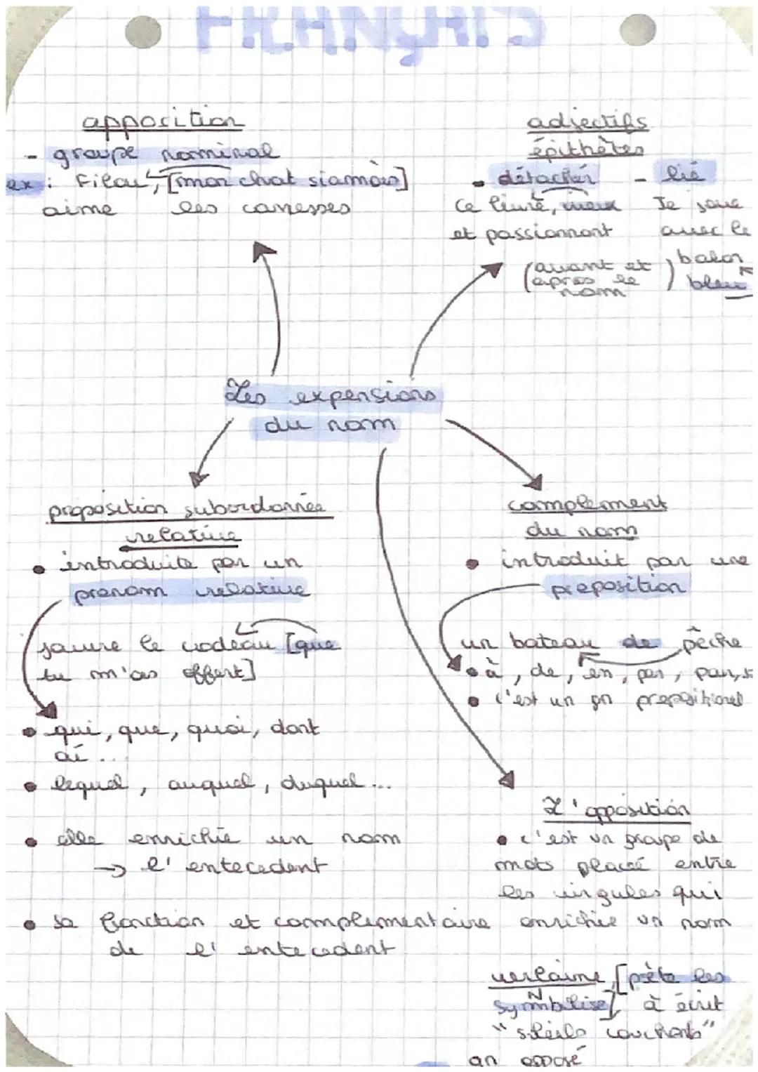 • FRANÇAIS
apposition
groupe nominal
: Filou [mon chat siamow]
imeه
●
معه
معرفت
Les expensions
proposition subordonnée
له
شمگین
من المعهد
عن