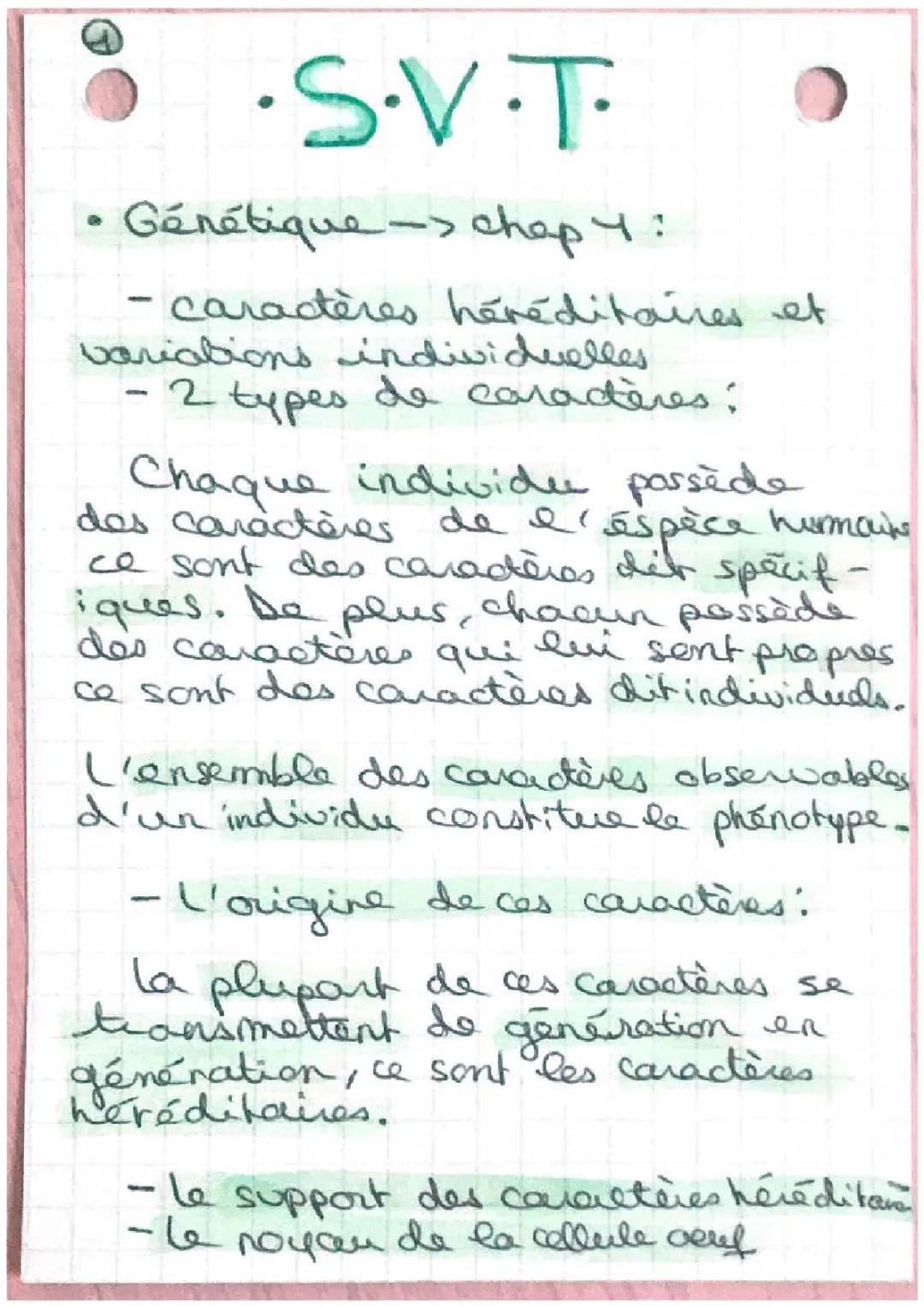 Les traits de famille et les différences entre nous