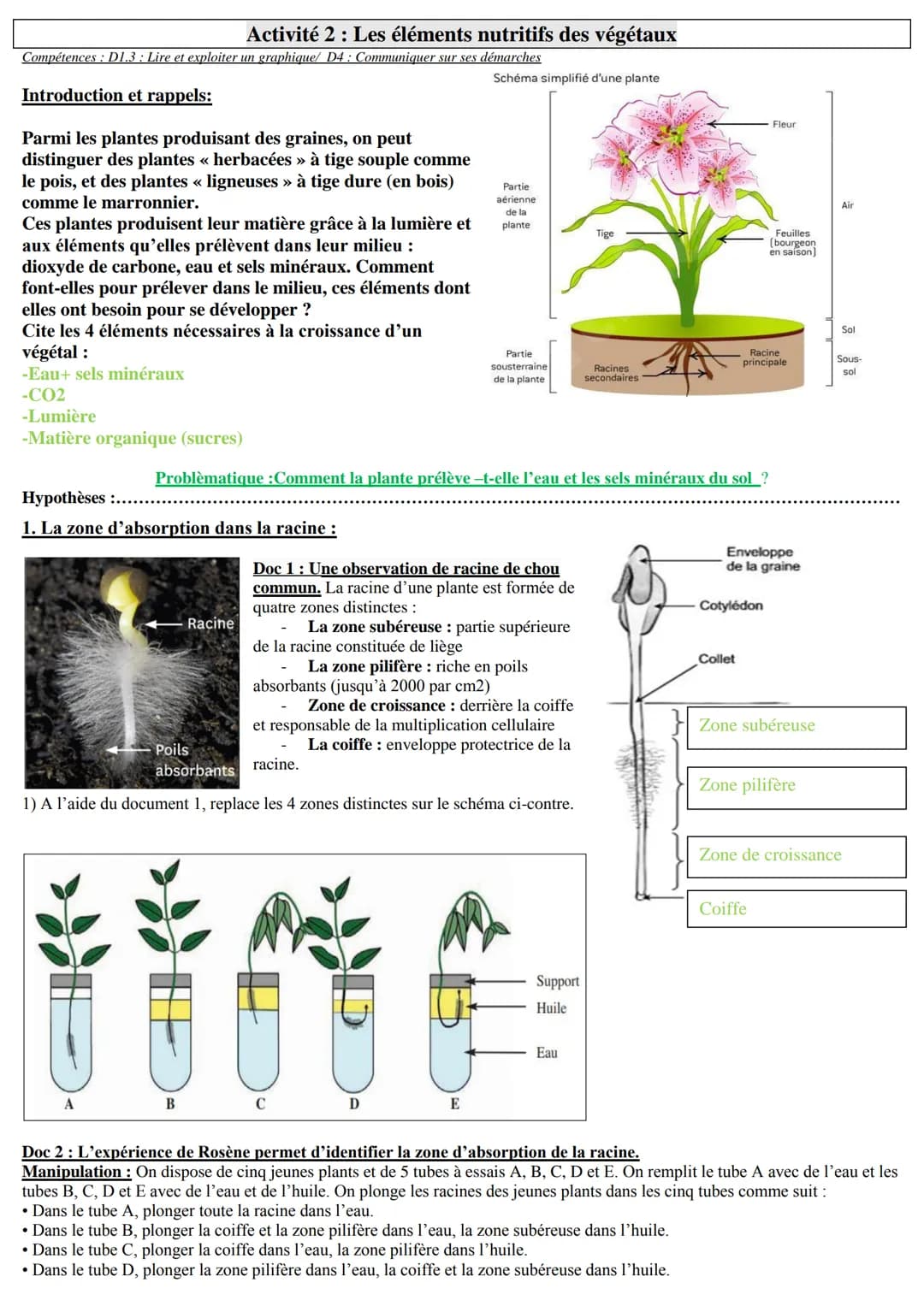 Compétences: D1.3: Lire et exploiter un graphique/ D4: Communiquer sur ses démarches
Introduction et rappels:
Parmi les plantes produisant d