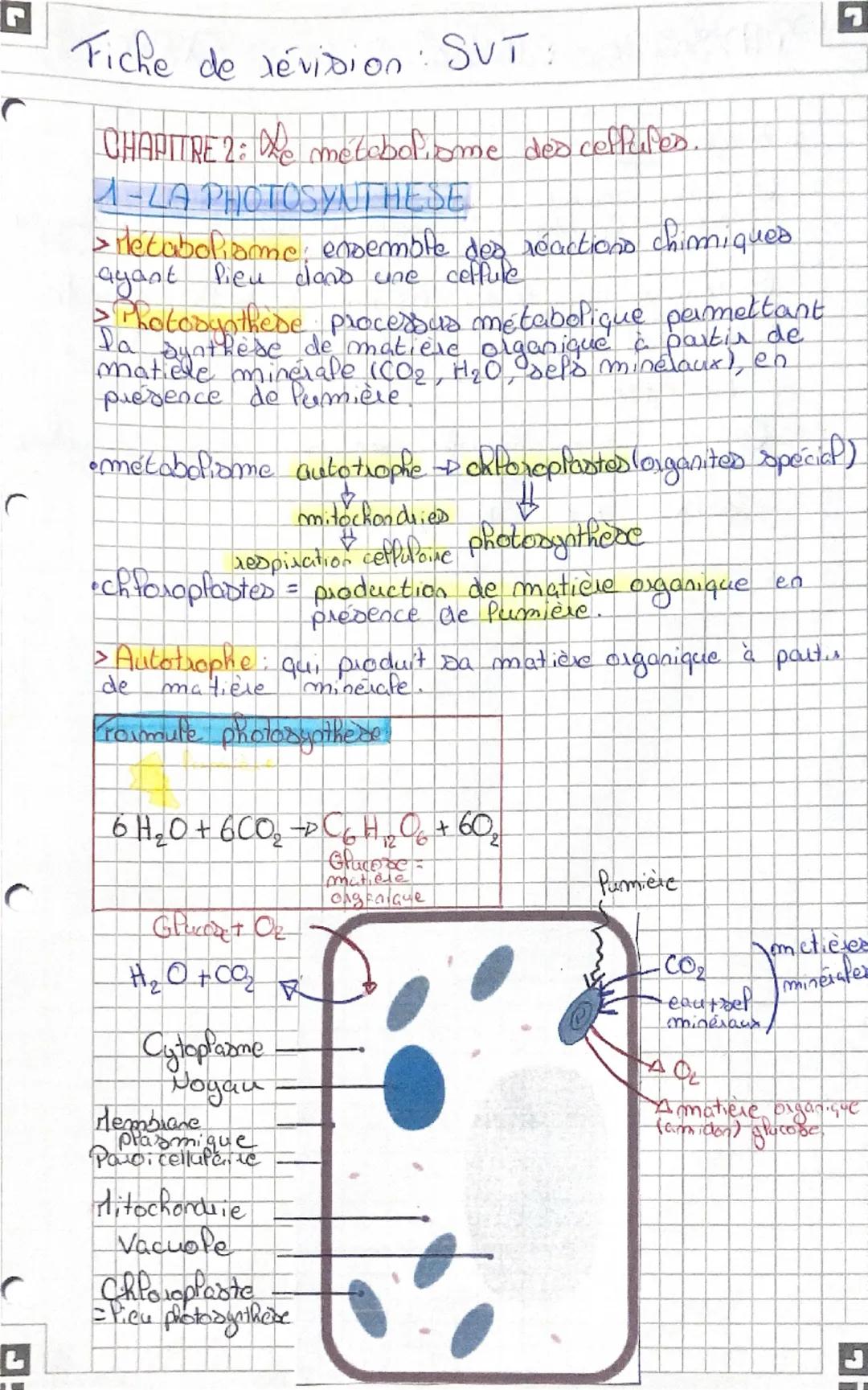 Fiche de révision: SVT:
CHAPITRE 2: We metabolisme des ceffures
1-LA PHOTOSYNTHESE
> Metabolisme: ensemble des réactions chimiques
ayant fie