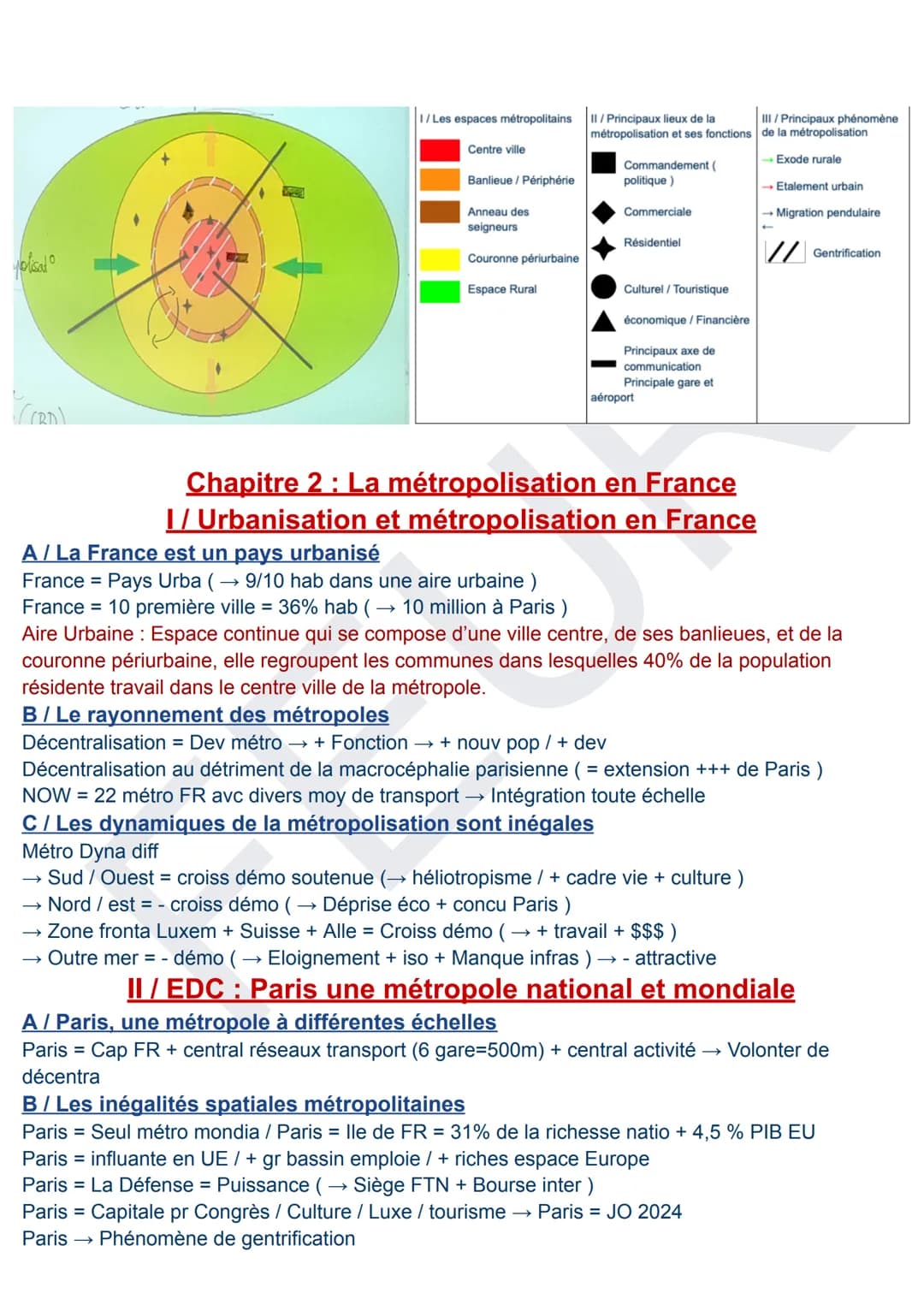 Thème 1 La métropolisation : un processus mondial
différencié
Problématique : Quelles formes la métropolisation prend-t-elle dans le monde ?