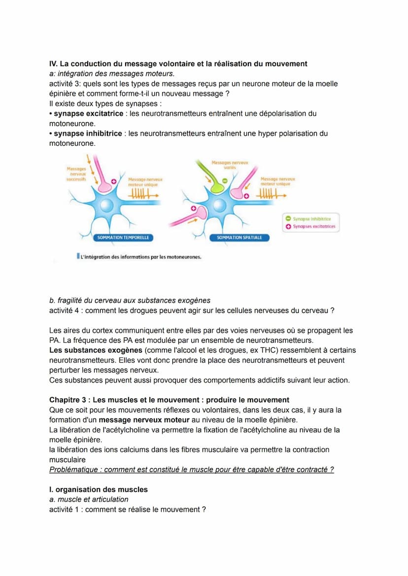 Thème 2: corps humain et santé
On a une danseuse se tenant sur un plateau ballon, elle se tient en équilibre et lève la
jambe: il s'agit d'u