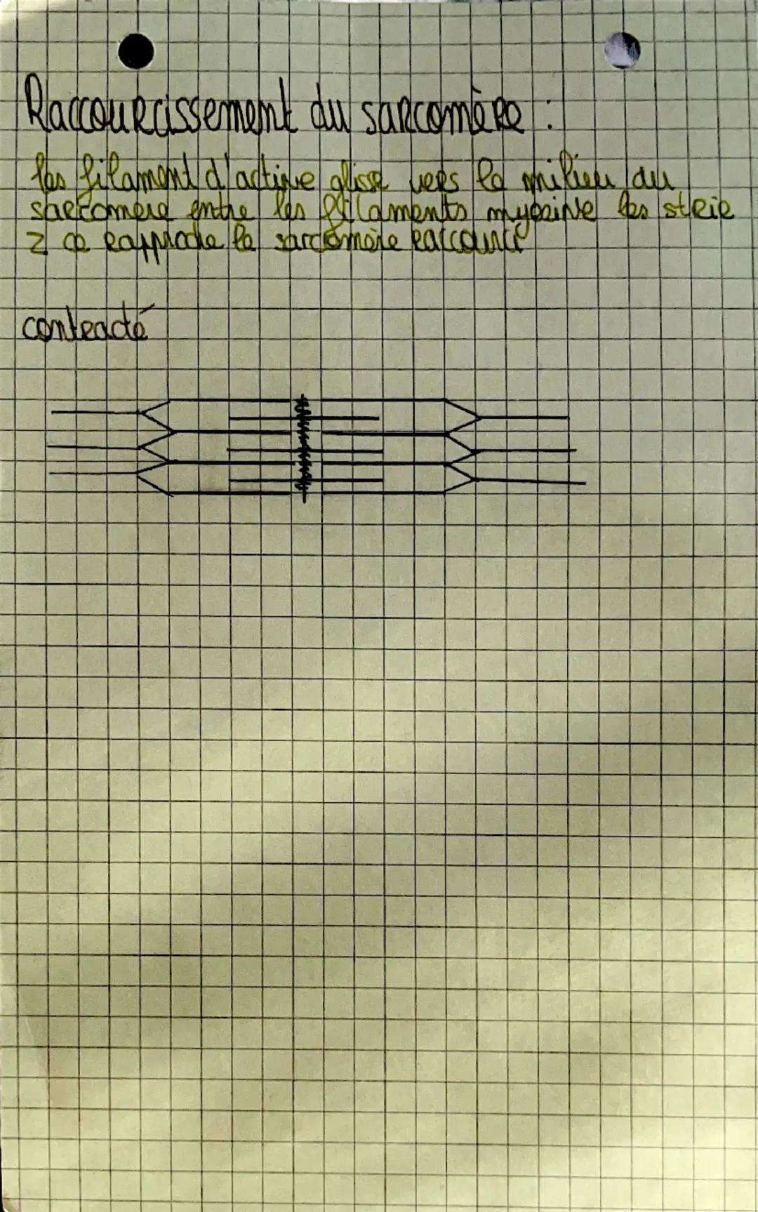 # Biologies

Appareil locomoteur et motricité
L'organisation du squelette:

- parietal
frontal

occipital
temporal


Mandibule.
Es seul os
M