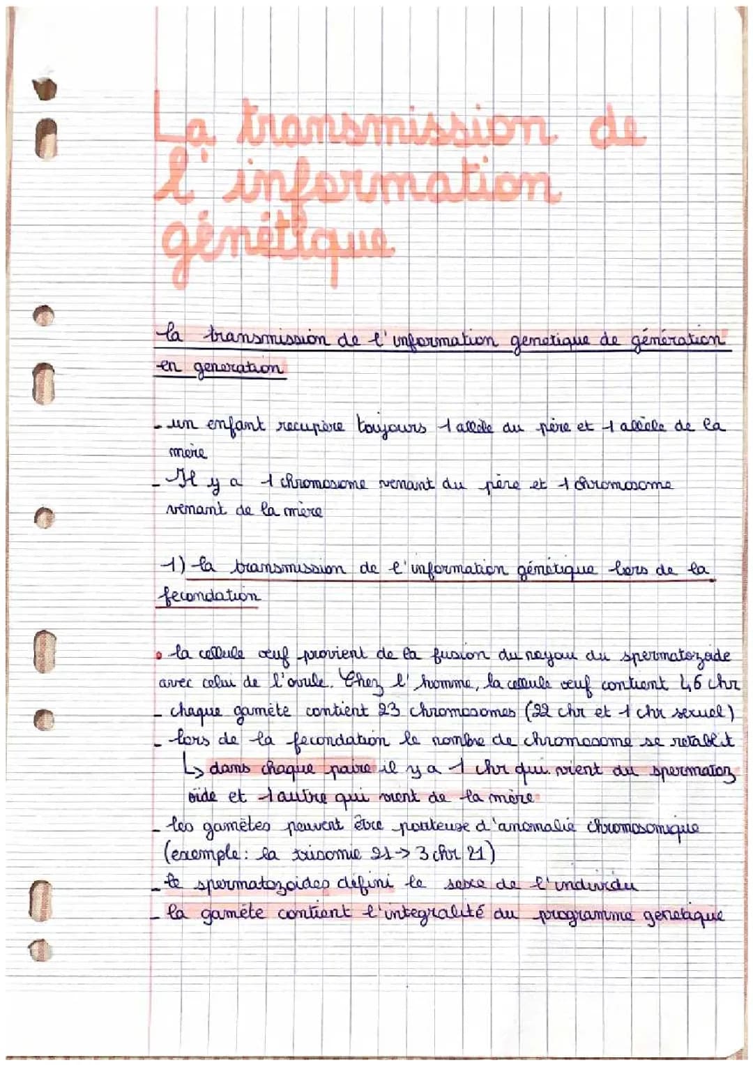 Comment l'information génétique se transmet de génération en génération