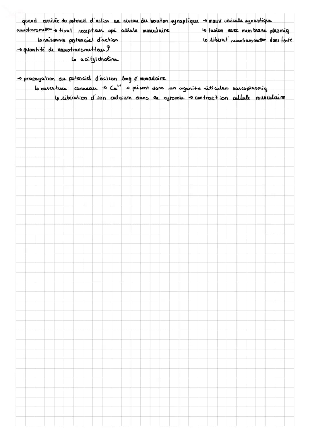 SUT
Chap 8: des rétexes
Note vidéo:
réflexe myoratig / d'étirement = une contraction automatique d'un muscle en réponse à son propre
lo rapi