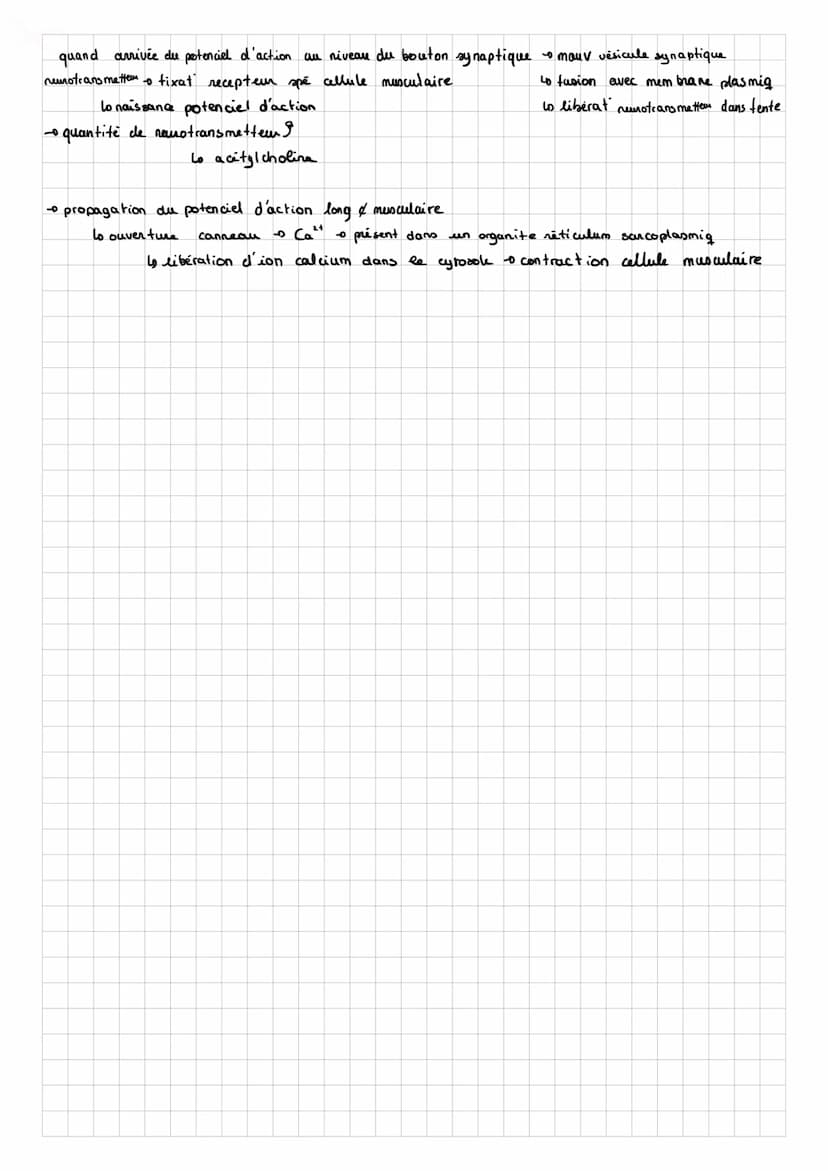 SUT
Chap 8: des rétexes
Note vidéo:
réflexe myoratig / d'étirement = une contraction automatique d'un muscle en réponse à son propre
lo rapi
