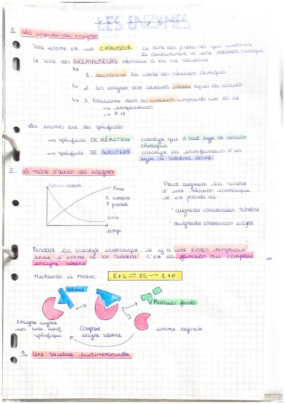 Les Enzymes : Fiches de Révision en SVT Première